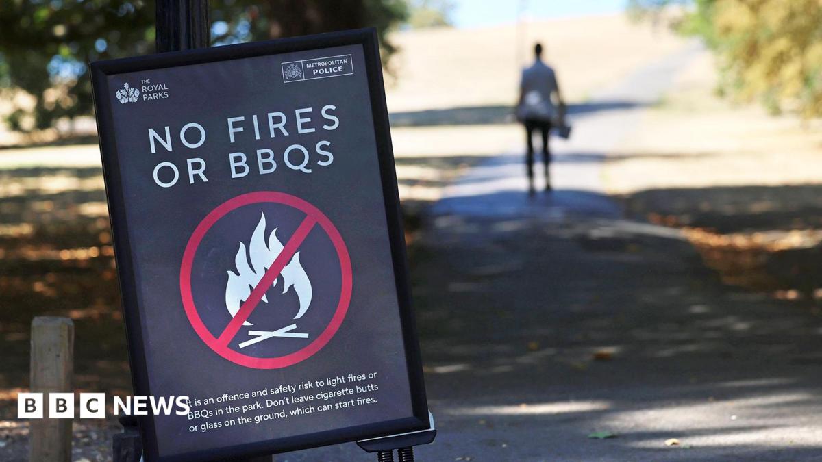 UK Government Bans Disposable Barbecues Amid Soaring Wildfire Risks